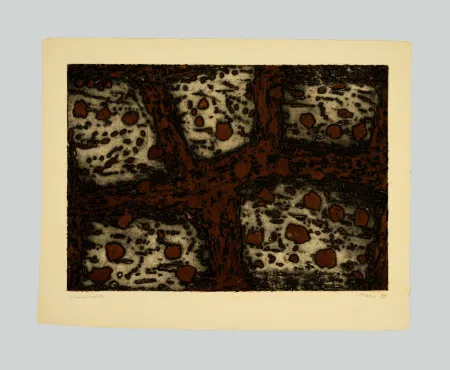 Água-Forte E Água-Tinta Music - Terre dalmate