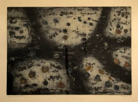 Gravura Music - Terre d’Istrie