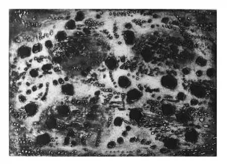 Gravura Music - Terre d'Istrie