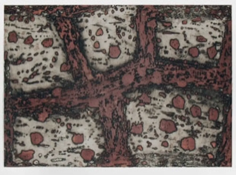 Gravura Music - Terre d'Istrie