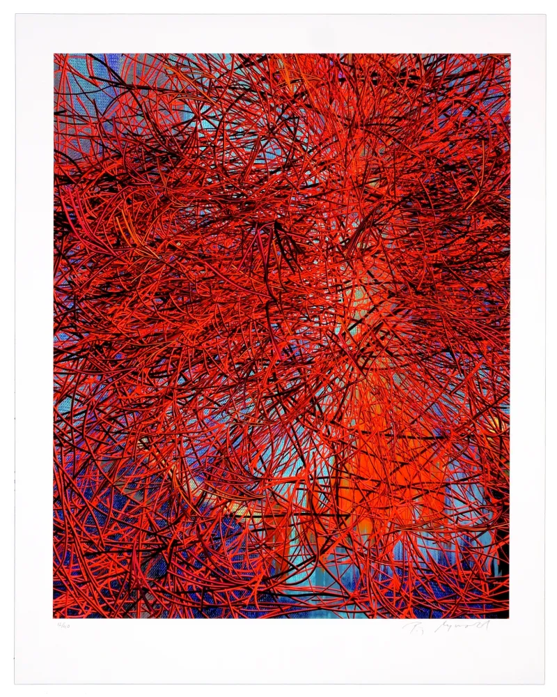 Gravura Digital Myrvold - Red Wires in Sunset
