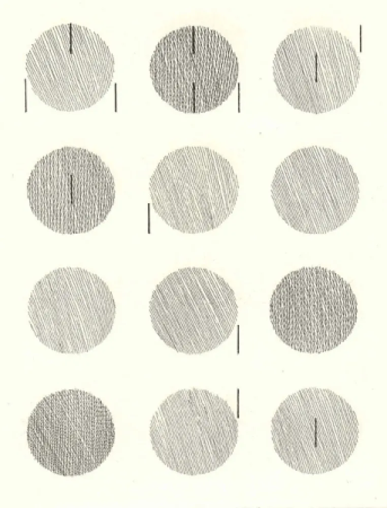 Livro Ilustrado Nangeroni - Sei poesie per un romanzo