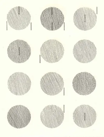 Livro Ilustrado Nangeroni - Sei poesie per un romanzo