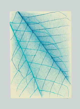 Sem Técnica Napoleone - Essenze, assenze