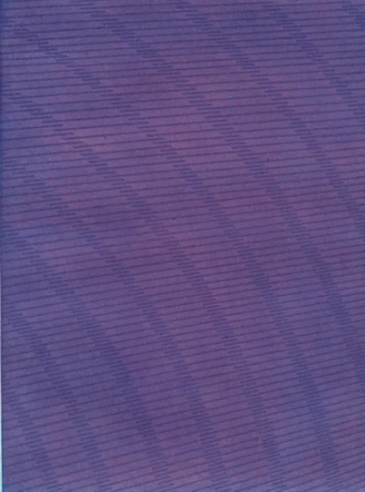 Livro Ilustrado Napoleone - Rimanenze