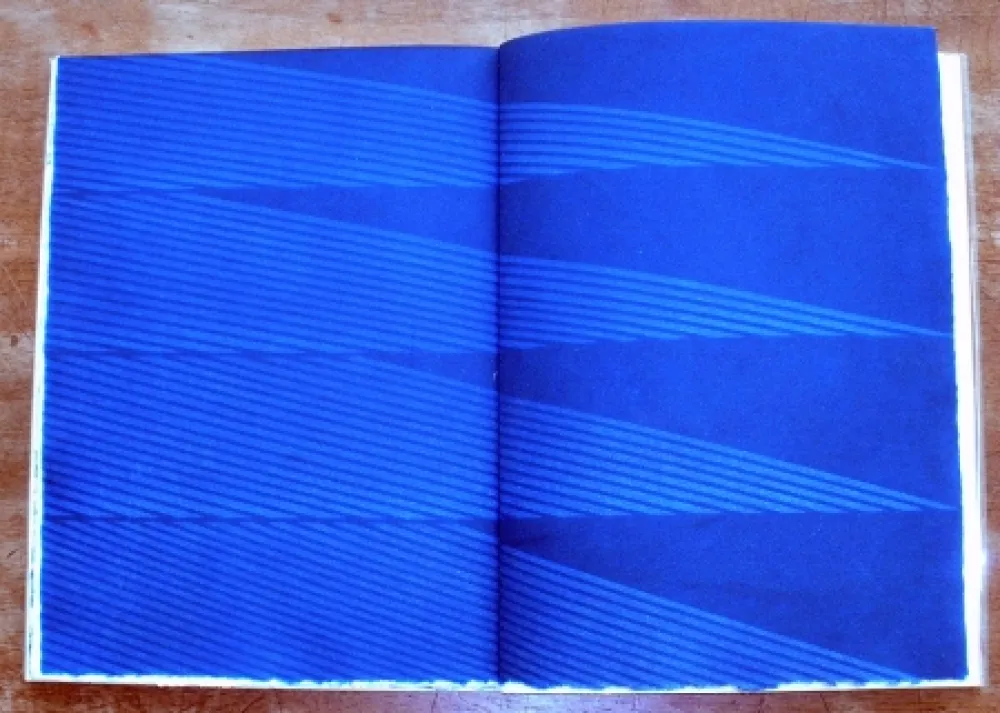 Livro Ilustrado Napoleone - Rimanenze