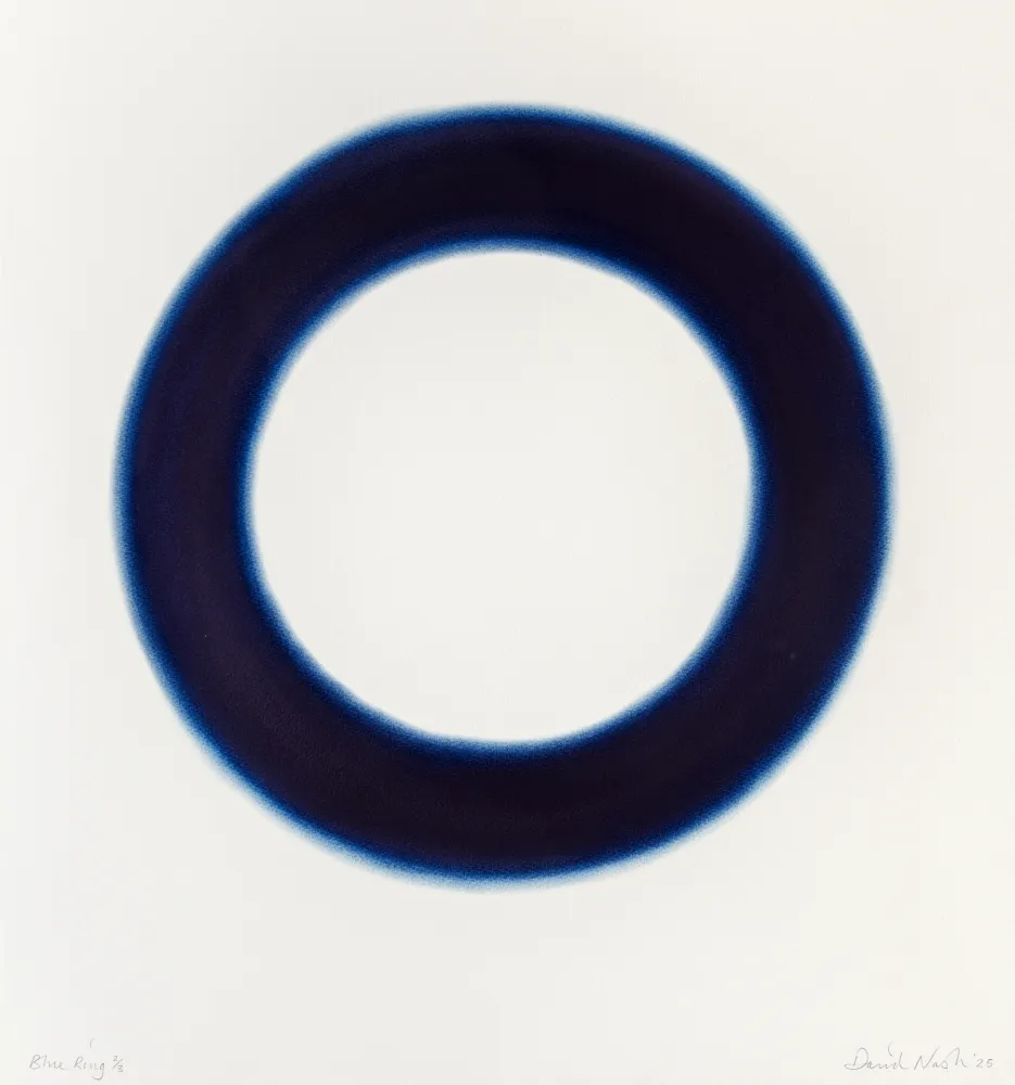 Estêncil Nash - Blue Ring