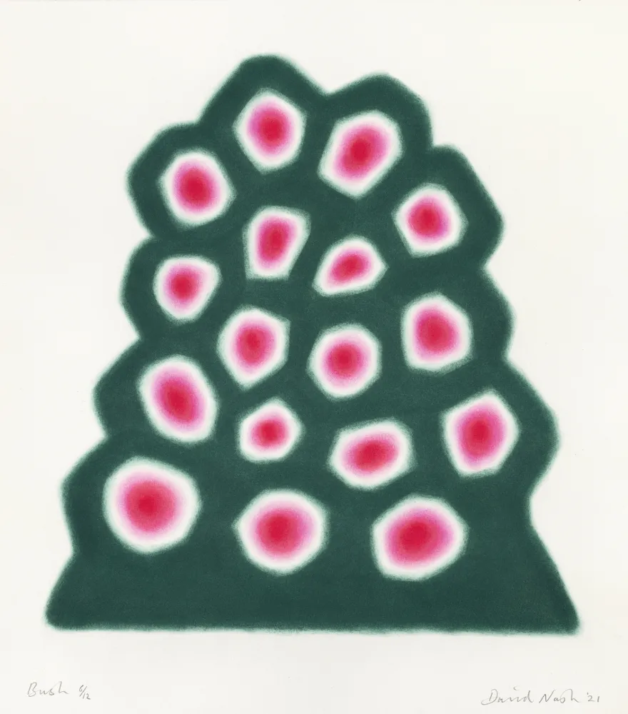 Estêncil Nash - Bush