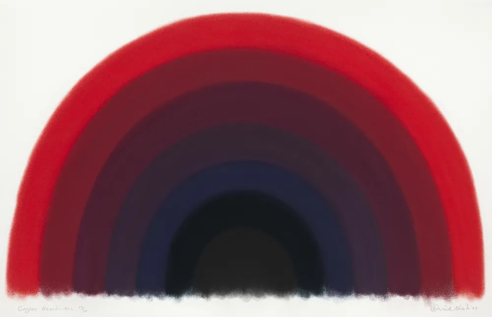 Estêncil Nash - Copper Beech Arc