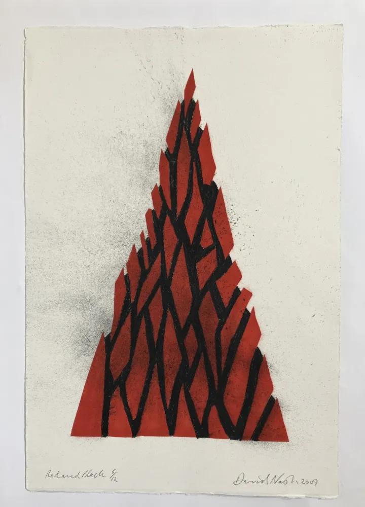 Sem Técnica Nash - Red and black triangle, 2009
