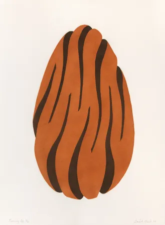 Estêncil Nash - Turning Egg