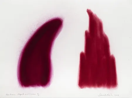 Estêncil Nash - Two Forms, Magenta and Crimson