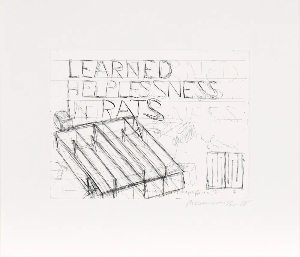 Água-Forte Nauman - Learned Helplessness from Rats