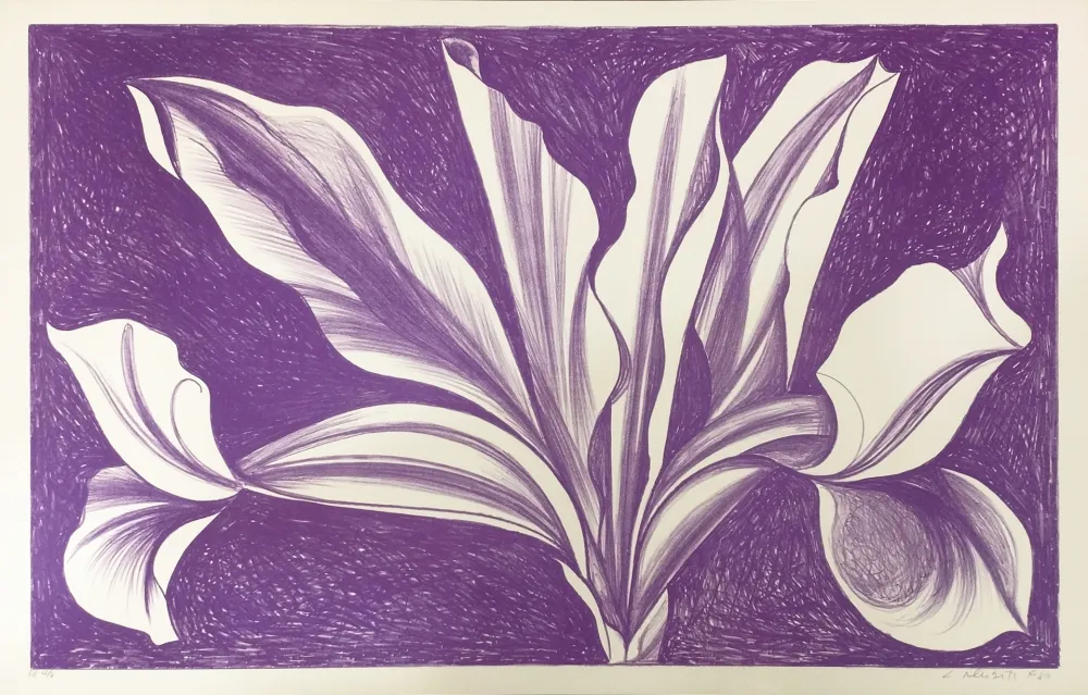 Relevo Nesbitt - IRIS