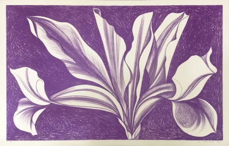 Relevo Nesbitt - IRIS