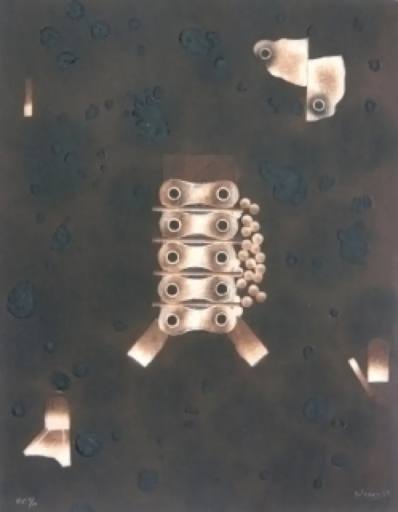 Gravura Nissen - Mariposa obsidiana 4