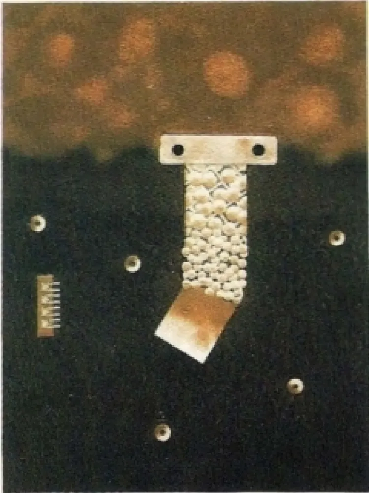 Gravura Nissen - Mariposa obsidiana 6