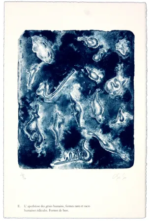 Litografia Nørgaard - E. L'apothéose des gènes humains, formes rares et races humaines ridicules. Forme de base.