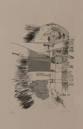 Litografia Novelli - DAS BAD DER DIANA