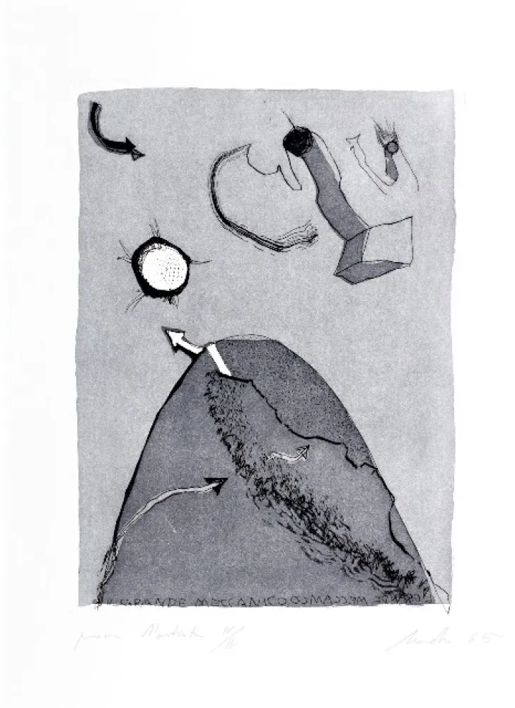 Água-Forte E Água-Tinta Novelli - Il grande meccanico