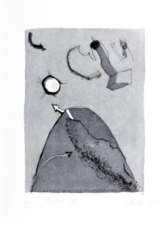 Água-Forte E Água-Tinta Novelli - Il grande meccanico