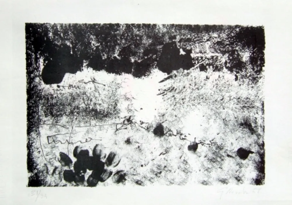 Litografia Novelli - Senza titolo