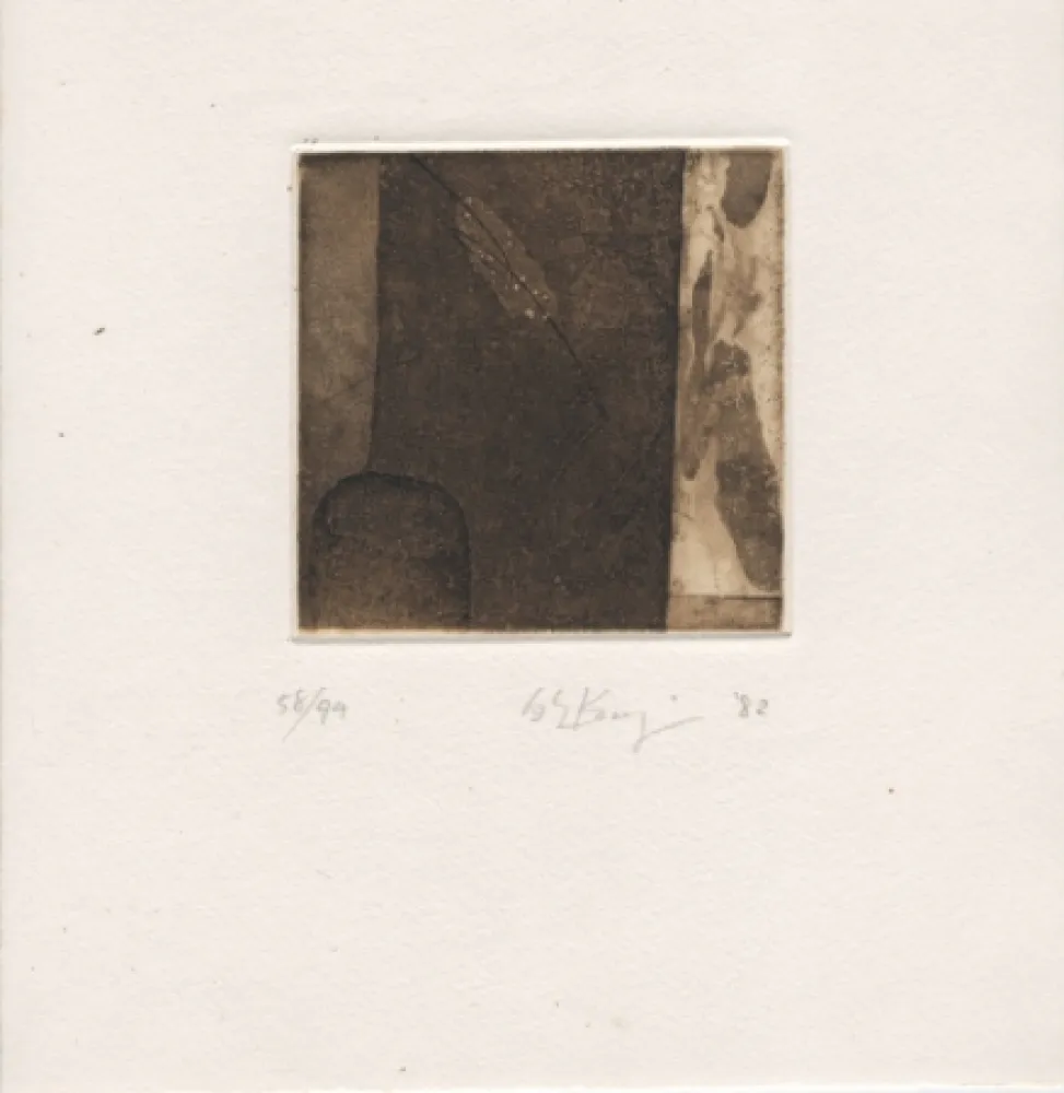 Livro Ilustrado Ochiai - Haiku