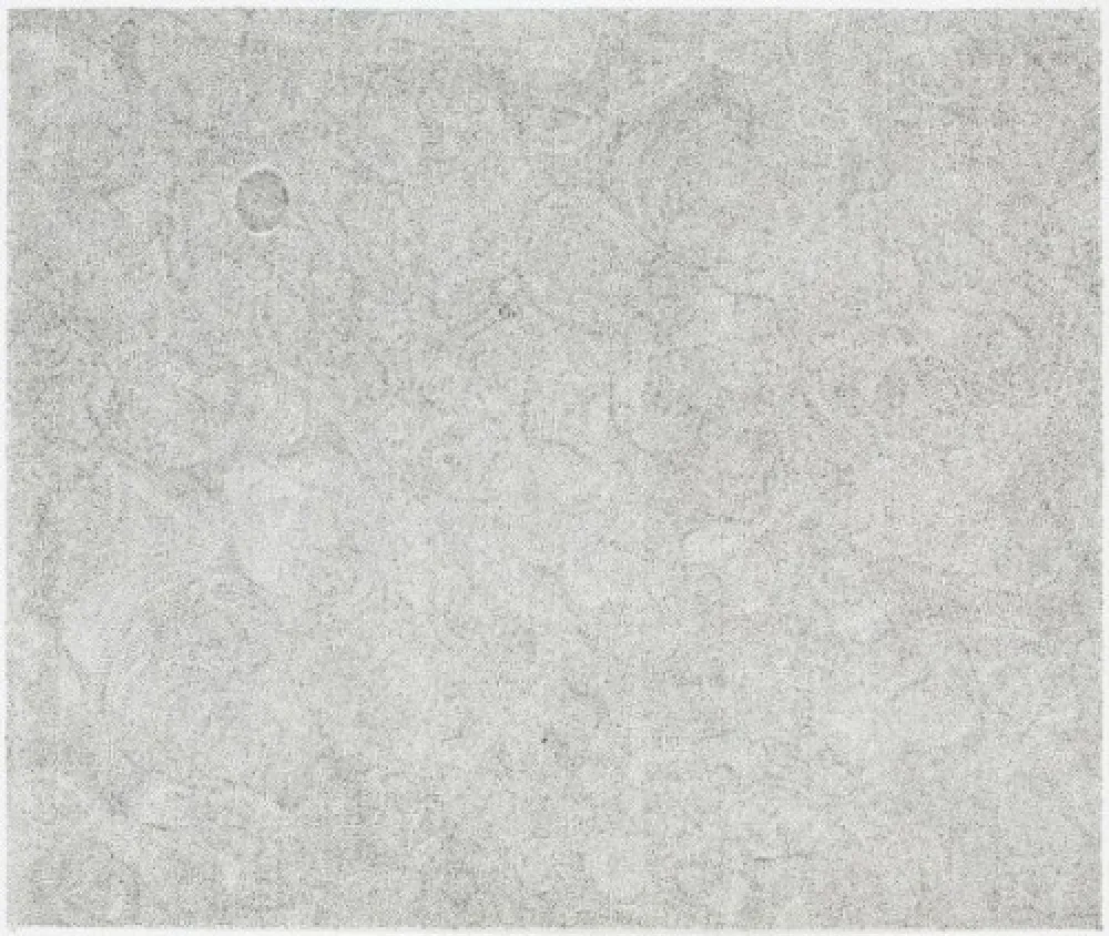 Gravura Ofili - Untitled