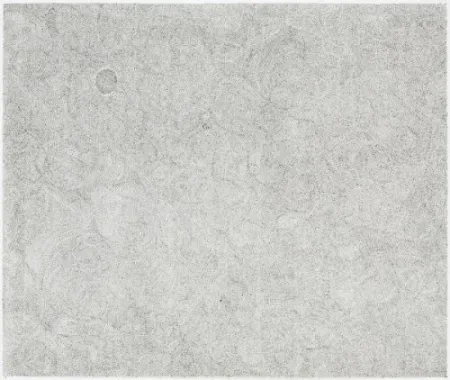 Gravura Ofili - Untitled