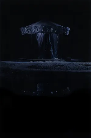 Gravura Digital Op De Beeck - Merry-go-round