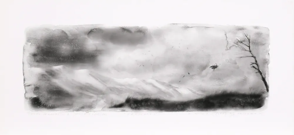 Gravura Digital Op De Beeck - Panorama 2