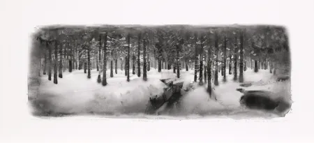 Gravura Digital Op De Beeck - Panorama 3