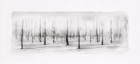 Gravura Digital Op De Beeck - Panorama 5