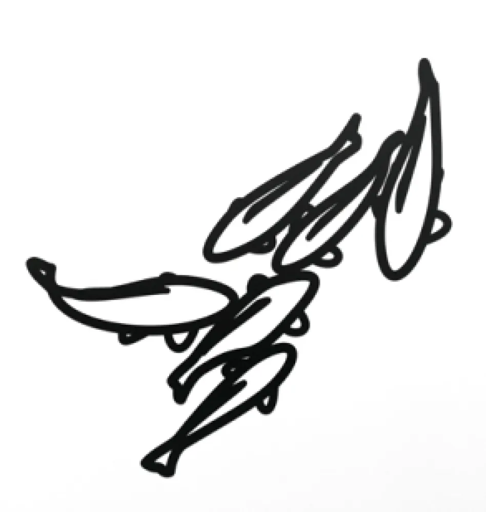 Sem Técnica Opie - Carp 1, from Nature 1 Series