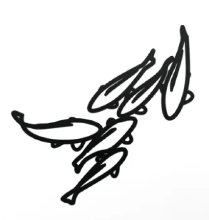 Sem Técnica Opie - Carp 1, from Nature 1 Series