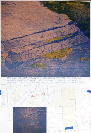 Litografia Oppenheim - Two Ways to Skin a Cat