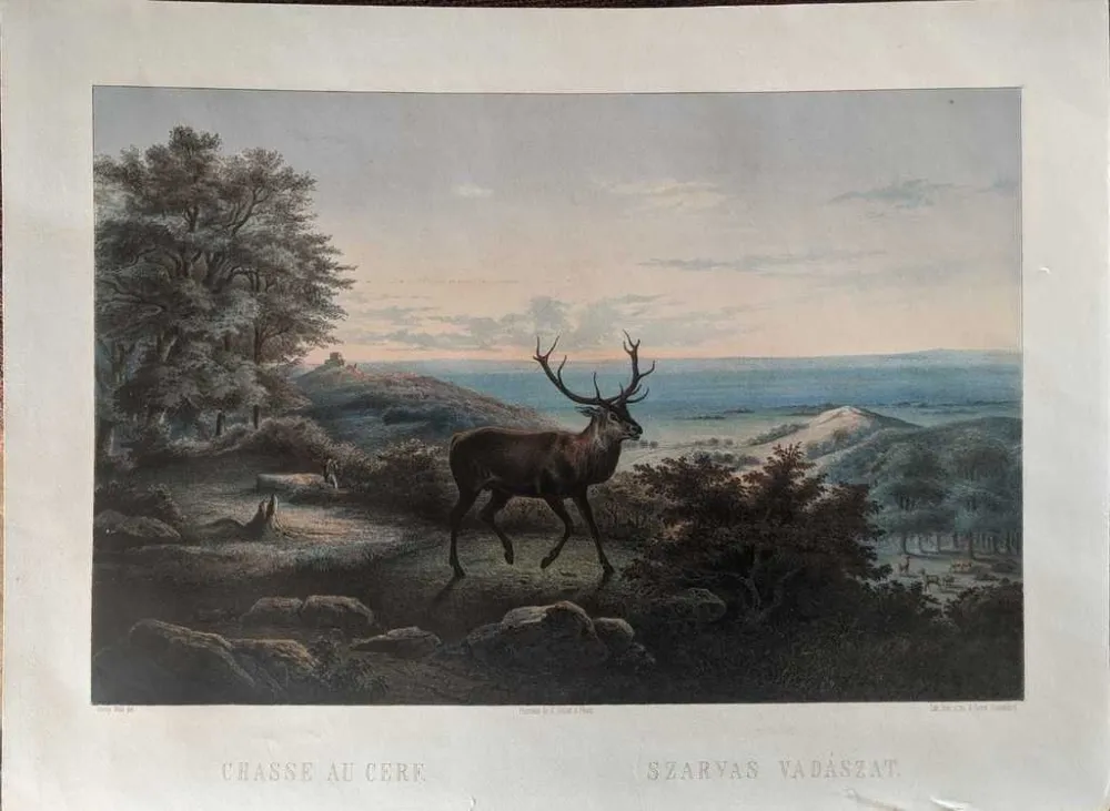 Sem Técnica Orczy - Chasse au cerf / Szarvas vadászat