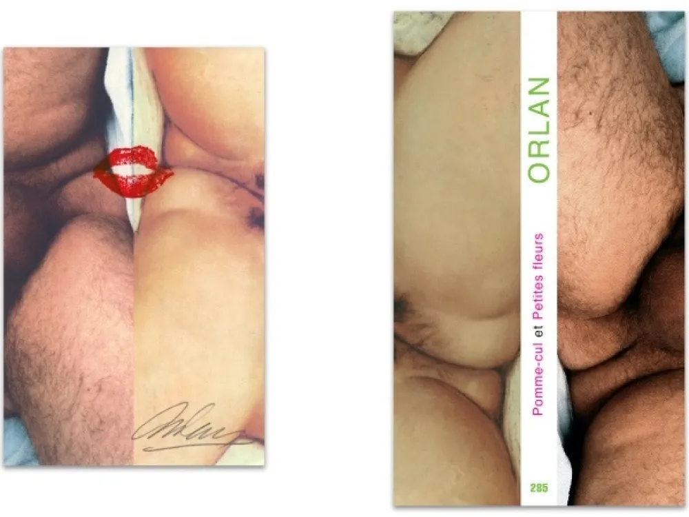 Livro Ilustrado Orlan - L'art en écrit