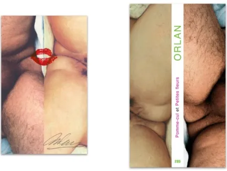 Livro Ilustrado Orlan - L'art en écrit