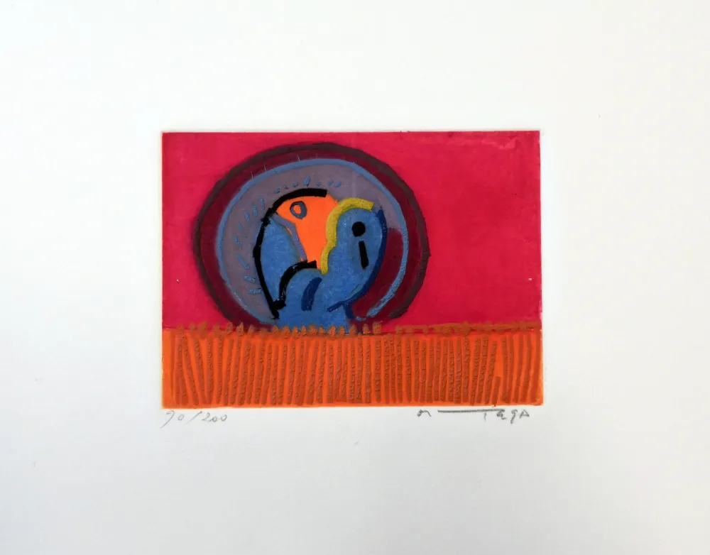 Água-Forte Ortega - Uccelli