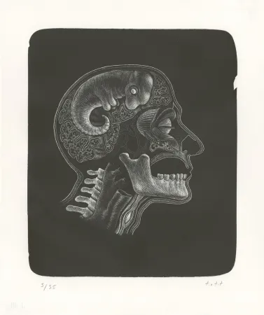 Litografia Ott - Idee (Idée)