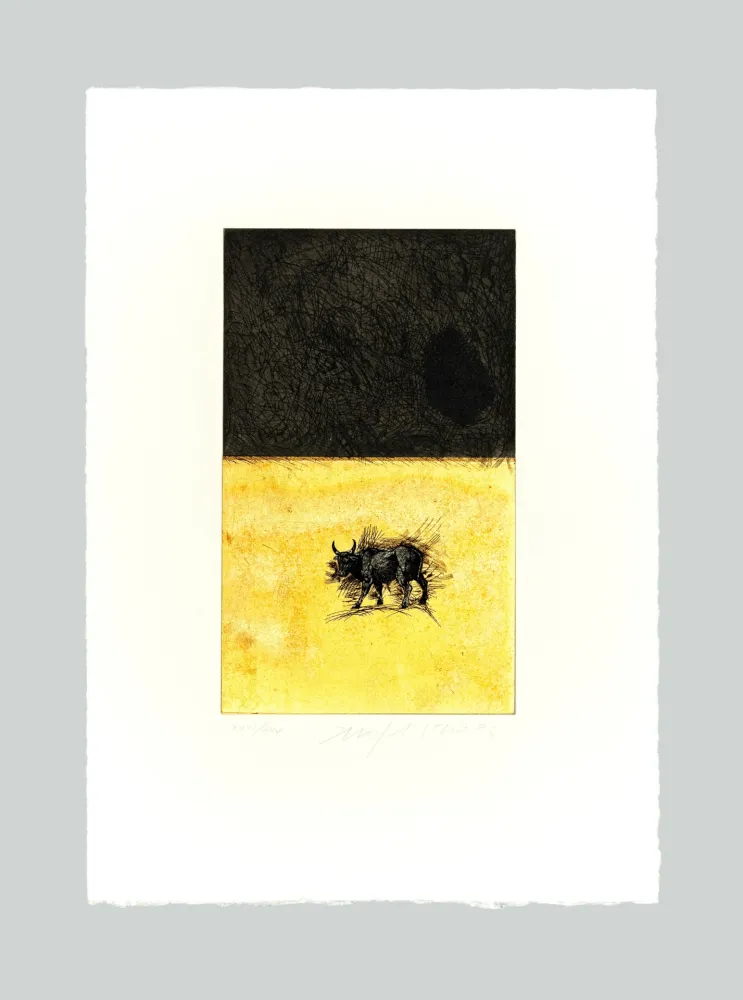 Água-Forte E Água-Tinta Paladino - Bue