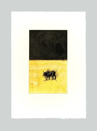 Água-Forte E Água-Tinta Paladino - Bue