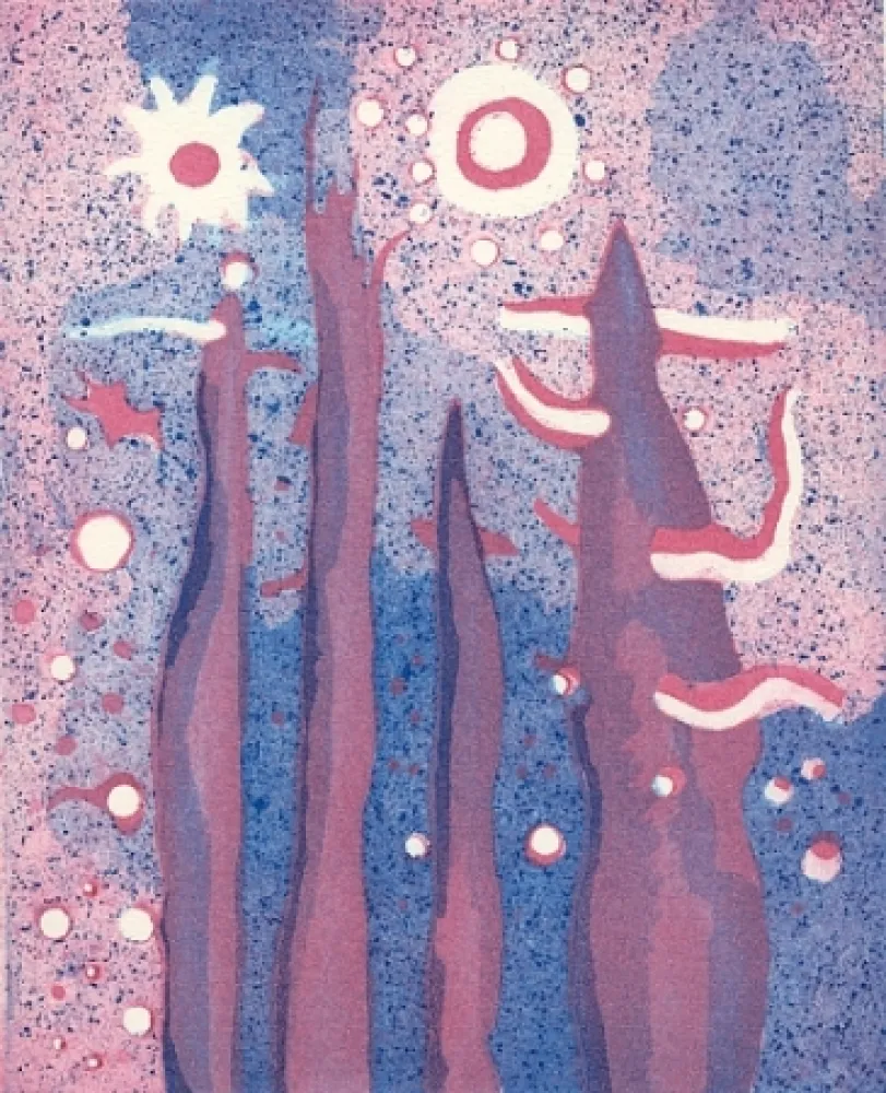 Livro Ilustrado Paladino - Piano-sequenza