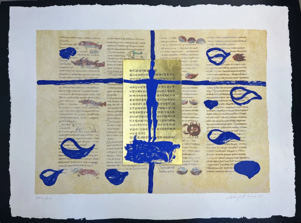 Múltiplo Paladino - RABANUS MAURUS - De Universo 6