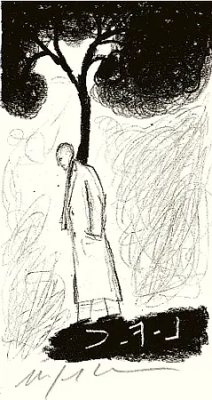 Livro Ilustrado Paladino - Tartre