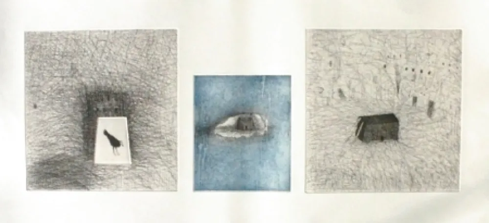 Água-Forte E Água-Tinta Paladino - Trittico