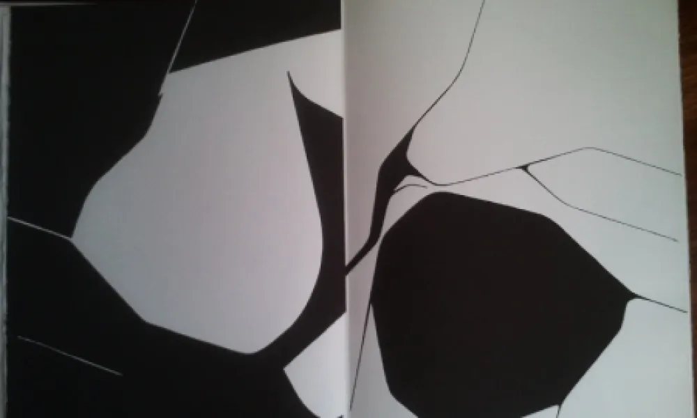 Livro Ilustrado Palazuelo - DLM 137 LUXE.