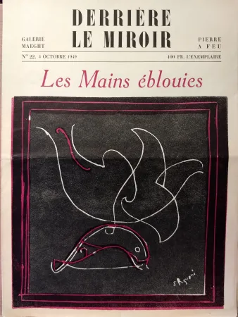 Livro Ilustrado Palazuelo - Dlm22