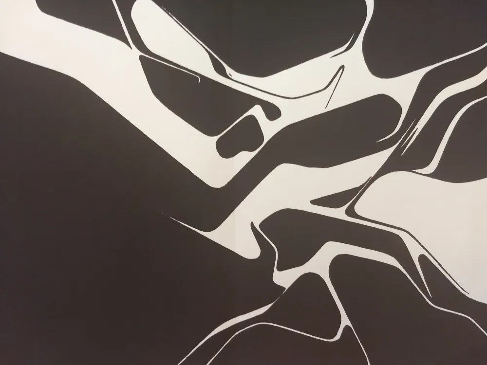 Livro Ilustrado Palazuelo - Edition Tete DLM 137